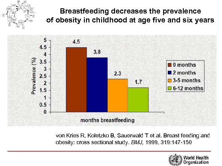Breastfeeding decreases the prevalence of obesity in childhood at age five and six years