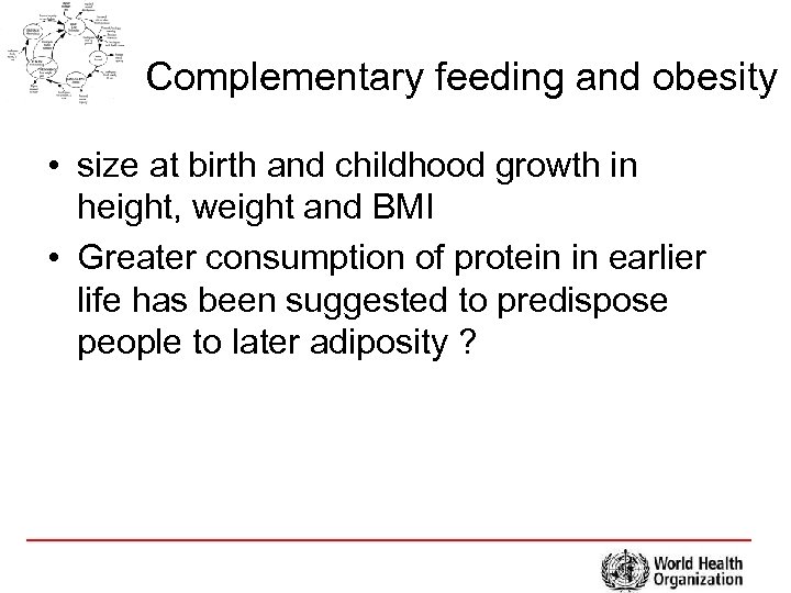 Complementary feeding and obesity • size at birth and childhood growth in height, weight