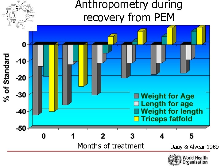 Anthropometry during recovery from PEM Months of treatment Uauy & Alvear 1989 