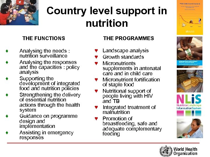 Country level support in nutrition THE FUNCTIONS ♦ ♦ ♦ Analysing the needs :