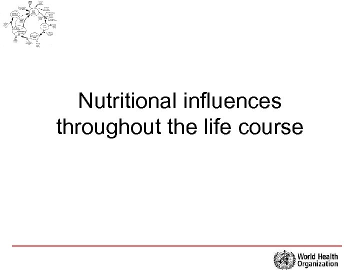 Nutritional influences throughout the life course 