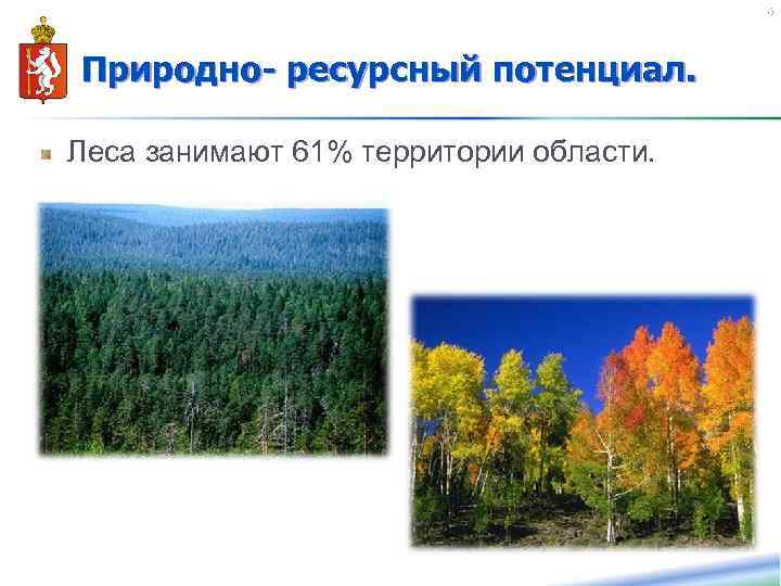 Леса занимают 61% территории области. Природно- ресурсный потенциал. Леса занимают 61% территории области. 6
