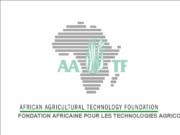 . FONDATION AFRICAINE POUR LES TECHNOLOGIES AGRICO 