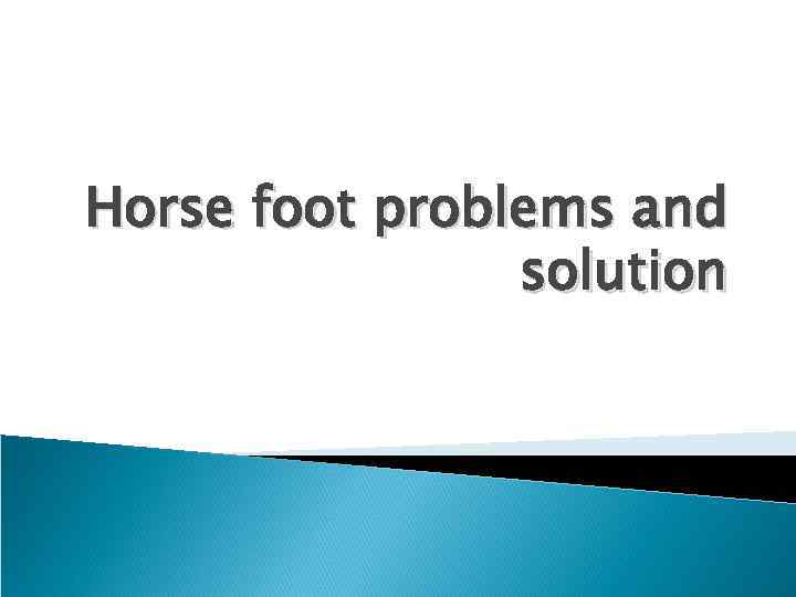 Horse foot problems and solution 