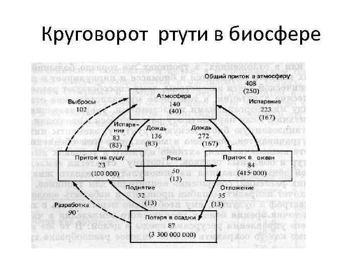 Пути миграции и накопление в биосфере токсичных и радиоактивных веществ схема