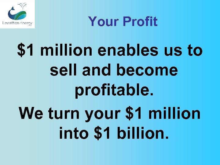 Your Profit $1 million enables us to sell and become profitable. We turn your