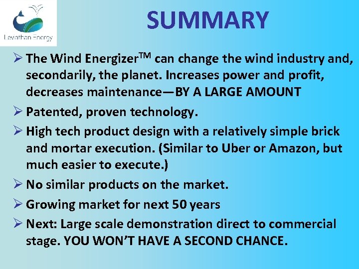 SUMMARY Ø The Wind Energizer. TM can change the wind industry and, secondarily, the
