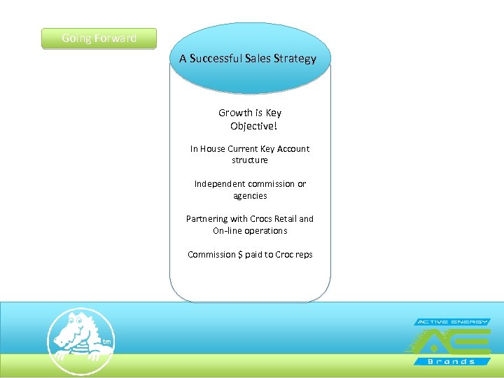 Going Forward A Successful Sales Strategy Growth is Key Objective! In House Current Key