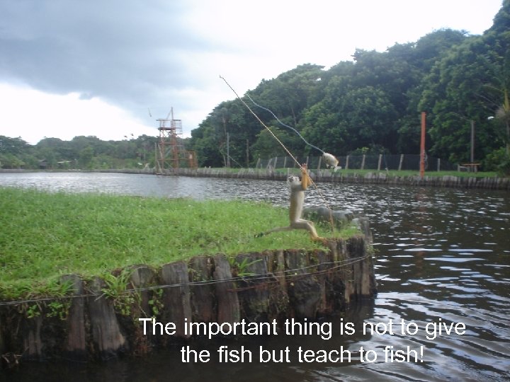 The important thing is not to give the fish but teach to fish! 