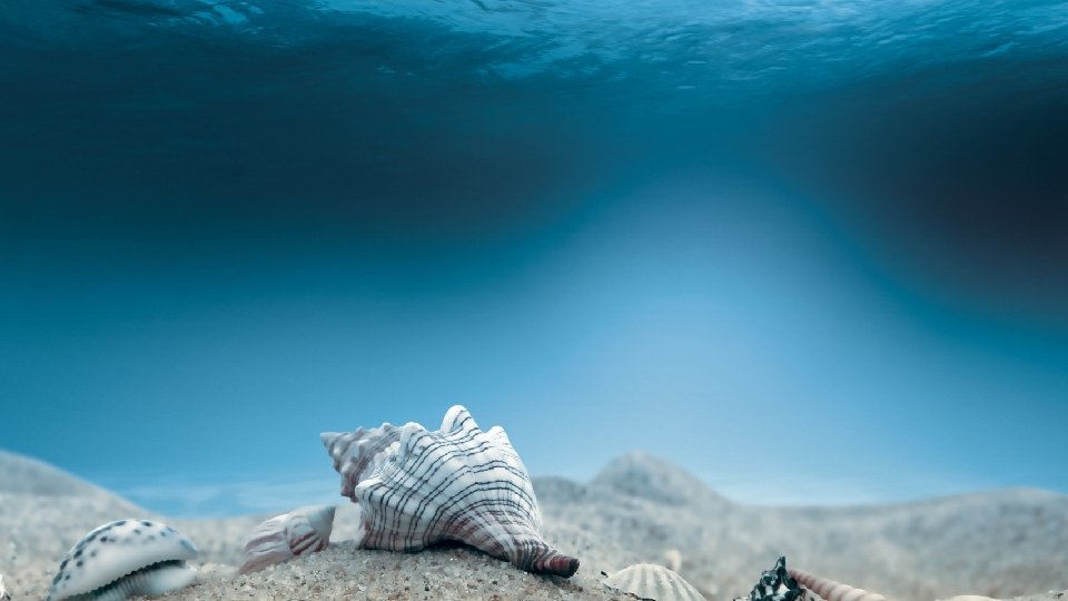 ПРАКТИЧЕСКАЯ РАБОТА • Создание анимации по плану. • Пример: 