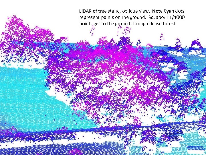 Li. DAR of tree stand, oblique view. Note Cyan dots represent points on the