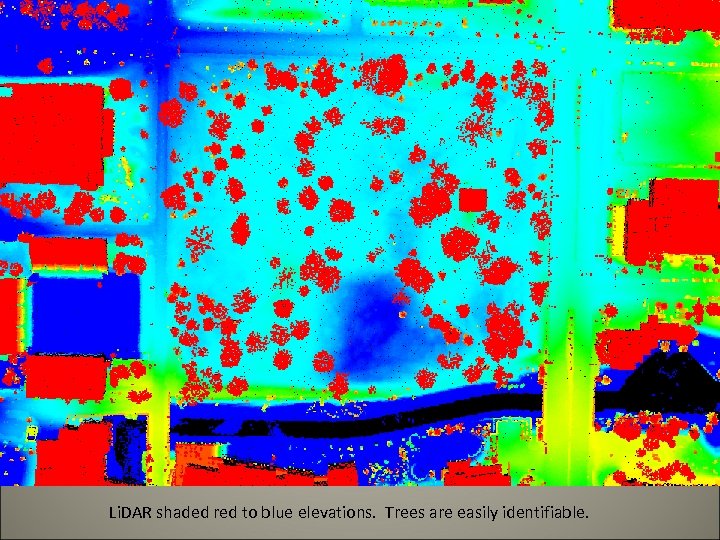 Li. DAR shaded red to blue elevations. Trees are easily identifiable. 