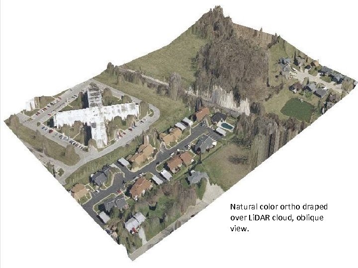 Natural color ortho draped over Li. DAR cloud, oblique view. 