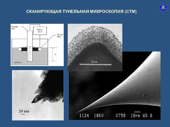 СКАНИРУЮЩАЯ ТУНЕЛЬНАЯ МИКРОСКОПИЯ (СТМ) 