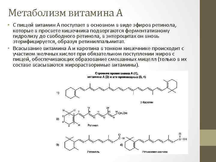 Метаболизм витамина А • С пищей витамин А поступает в основном в виде эфиров