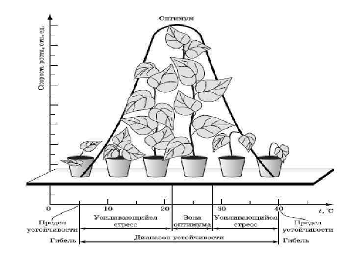Зона оптимума. График оптимума экология. Зона оптимума для рыб. Оптимум растение. Доктрина оптимума.