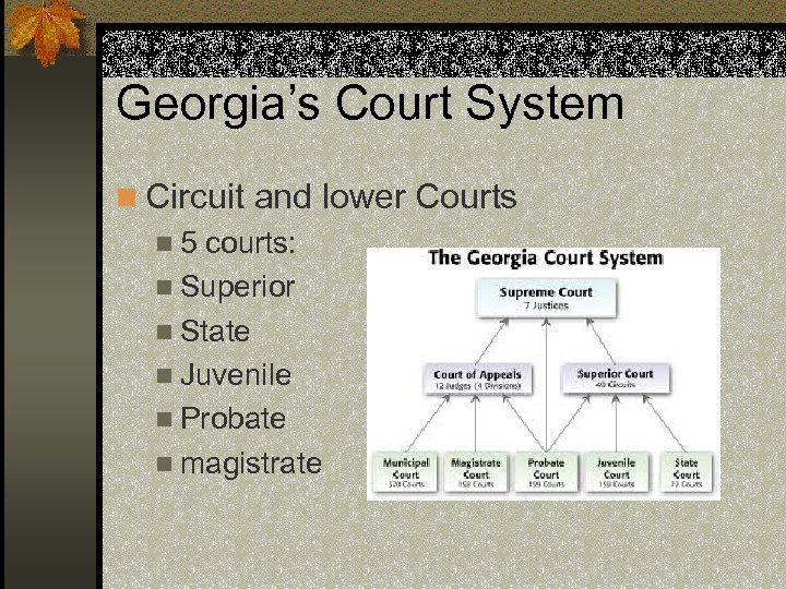 Georgia’s Court System n Circuit and lower Courts n 5 courts: n Superior n