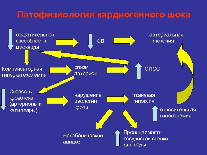 Патофизиология кардиогенного шока сократительной способности миокарда Компенсаторная гиперкатехолемия Скорость кровотока (артериолы и капилляры) СВ