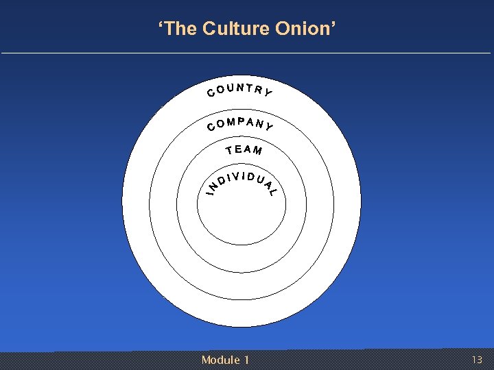 ‘The Culture Onion’ Module 1 13 