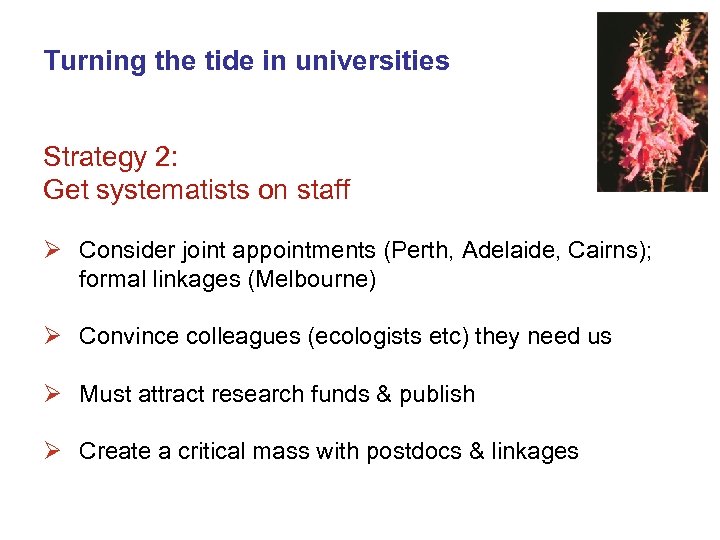 Turning the tide in universities Strategy 2: Get systematists on staff Ø Consider joint