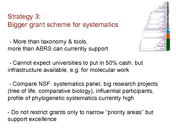 Strategy 3: Bigger grant scheme for systematics - More than taxonomy & tools, more