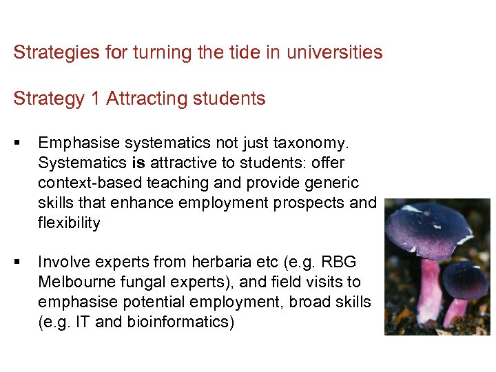 Strategies for turning the tide in universities Strategy 1 Attracting students § Emphasise systematics
