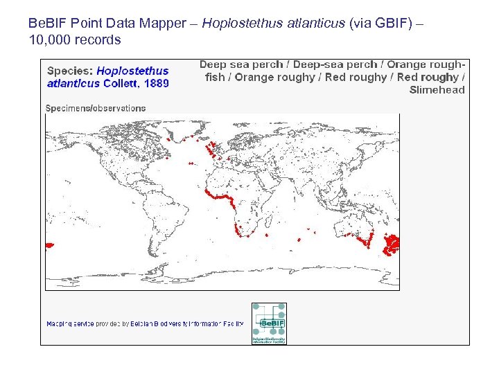 Be. BIF Point Data Mapper – Hoplostethus atlanticus (via GBIF) – 10, 000 records