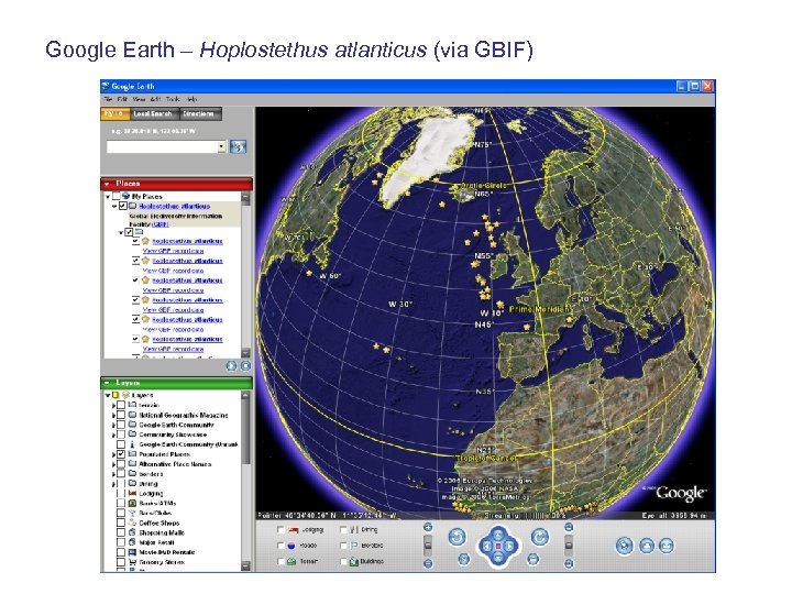Google Earth – Hoplostethus atlanticus (via GBIF) 