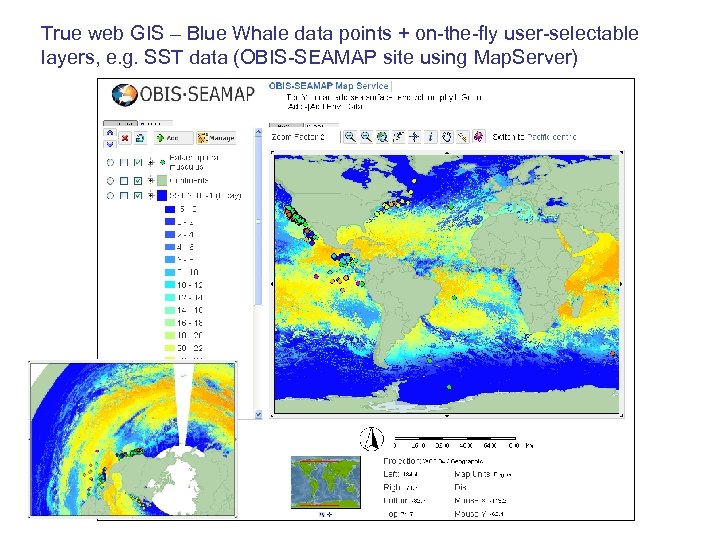 True web GIS – Blue Whale data points + on-the-fly user-selectable layers, e. g.