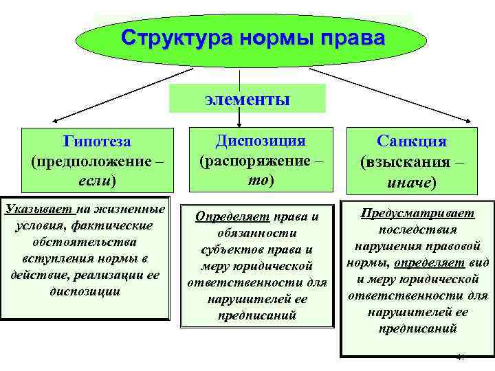 Структура нормы