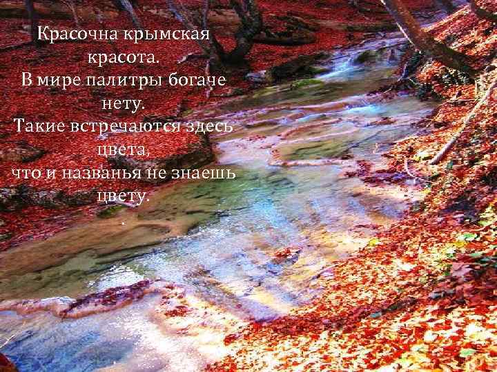 Красочна крымская красота. В мире палитры богаче нету. Такие встречаются здесь цвета, что и