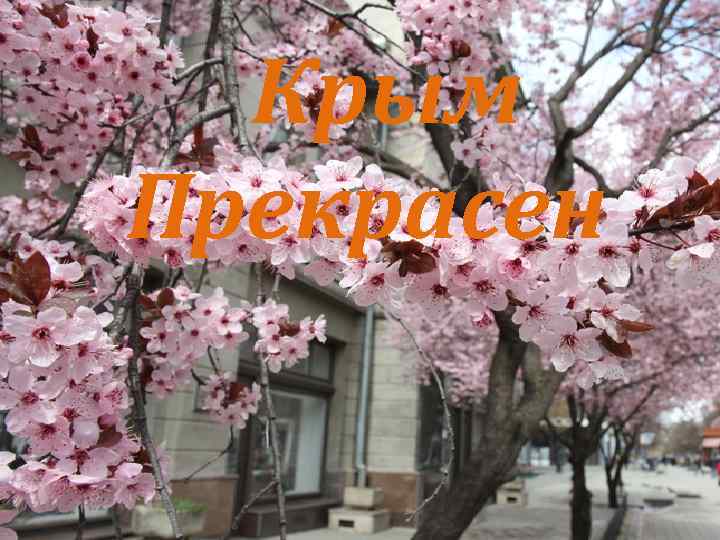 Крым Прекрасен 