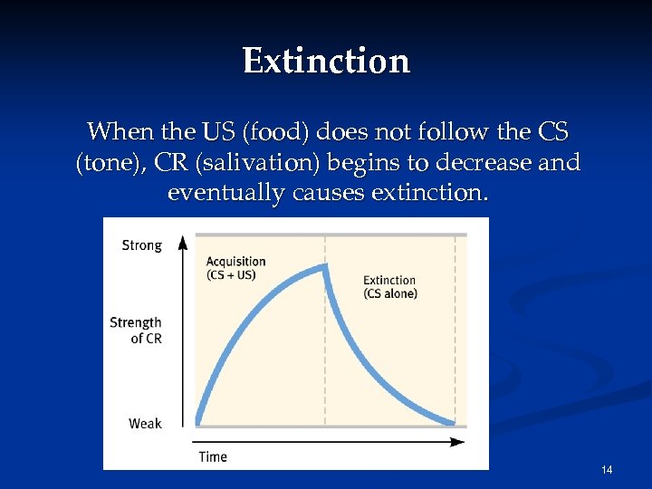Extinction When the US (food) does not follow the CS (tone), CR (salivation) begins