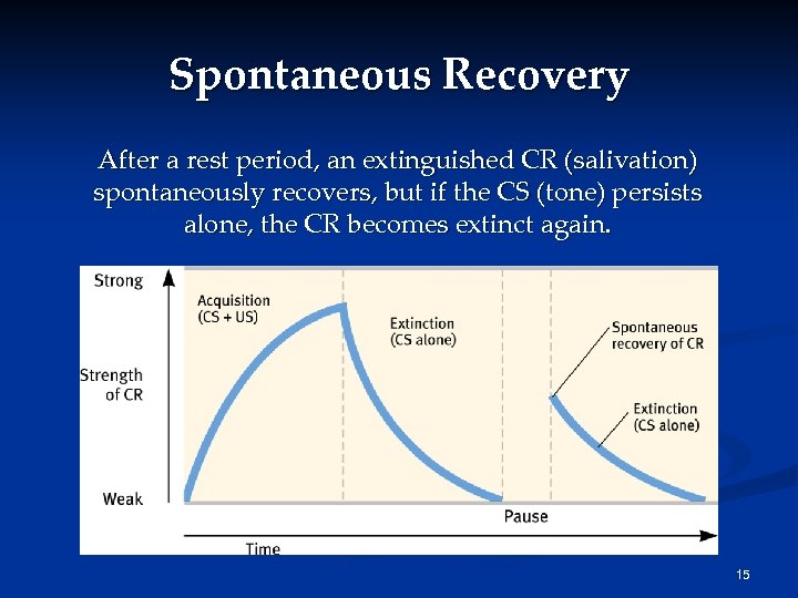 Spontaneous Recovery After a rest period, an extinguished CR (salivation) spontaneously recovers, but if