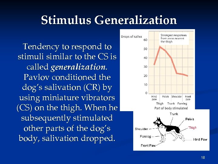 Stimulus Generalization Tendency to respond to stimuli similar to the CS is called generalization.