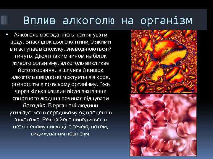 Вплив алкоголю на організм Алкоголь має здатність притягувати воду. Внаслідок цього клітини, з якими