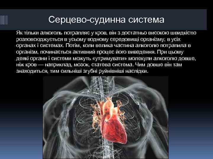 Серцево-судинна система Як тільки алкоголь потрапляє у кров, він з достатньо високою швидкістю розповсюджується