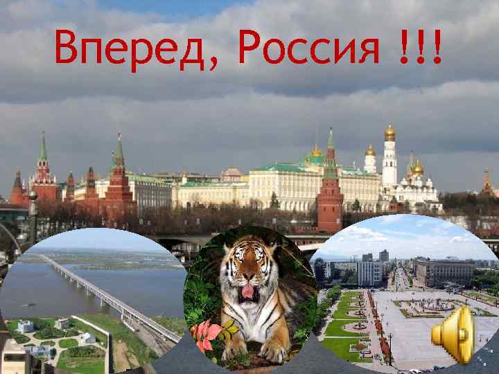 Вперед, Россия !!! 