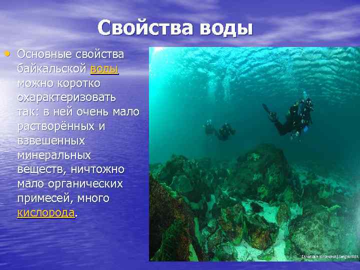 Свойства воды • Основные свойства байкальской воды можно коротко охарактеризовать так: в ней очень