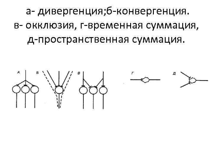  а- дивергенция; б-конвергенция. в- окклюзия, г-временная суммация, д-пространственная суммация. 