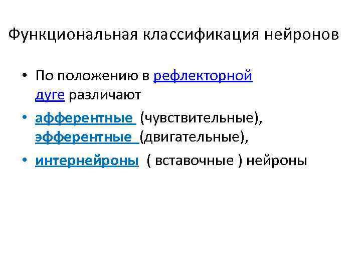 Функциональная классификация нейронов • По положению в рефлекторной дуге различают • афферентные (чувствительные), эфферентные