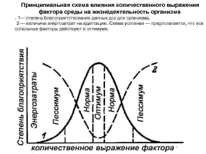 Схема действия факторов среды на живые организмы