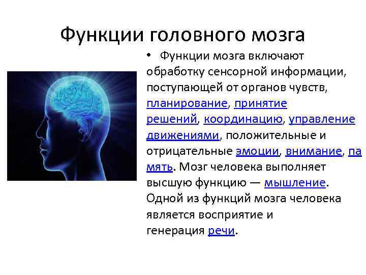 Презентация на тему возрастные особенности нервной системы