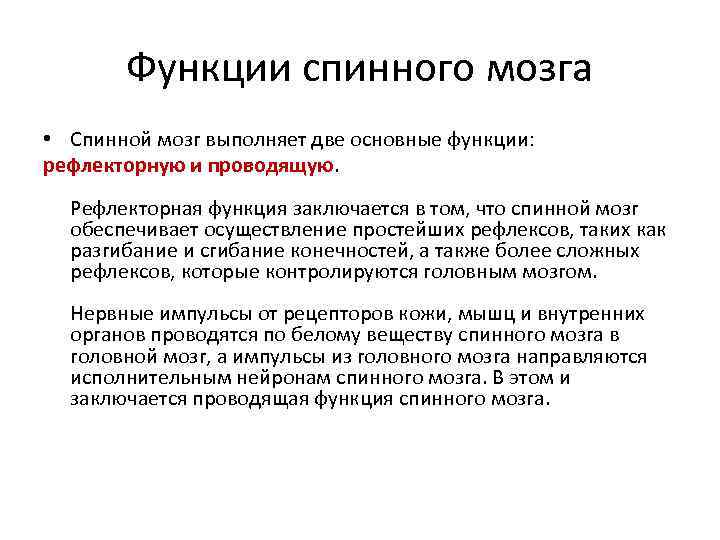 Основные функции спинного мозга. В чем заключается рефлекторная и Проводящая функции спинного мозга. Отражательная функция пример.