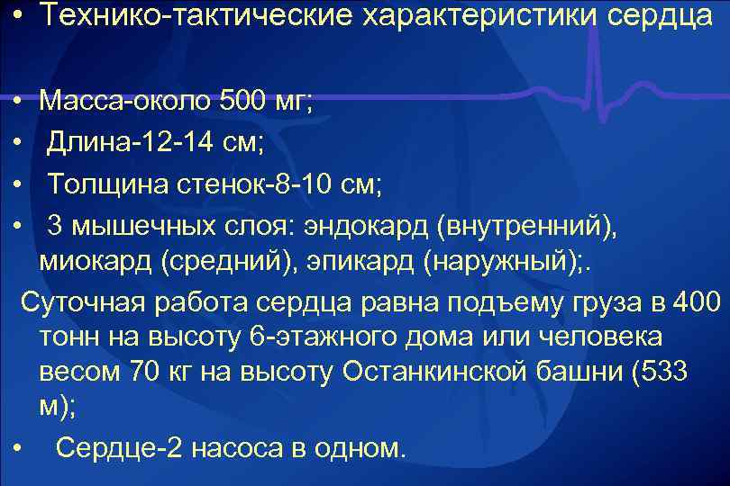  • Технико-тактические характеристики сердца • • Масса-около 500 мг; Длина-12 -14 см; Толщина