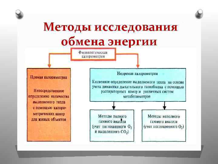 Методы исследования обмена энергии 
