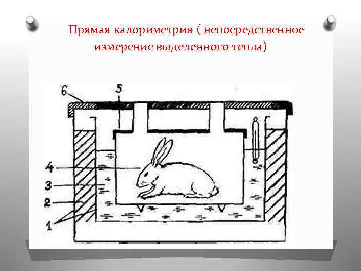 Прямая калориметрия ( непосредственное измерение выделенного тепла) 