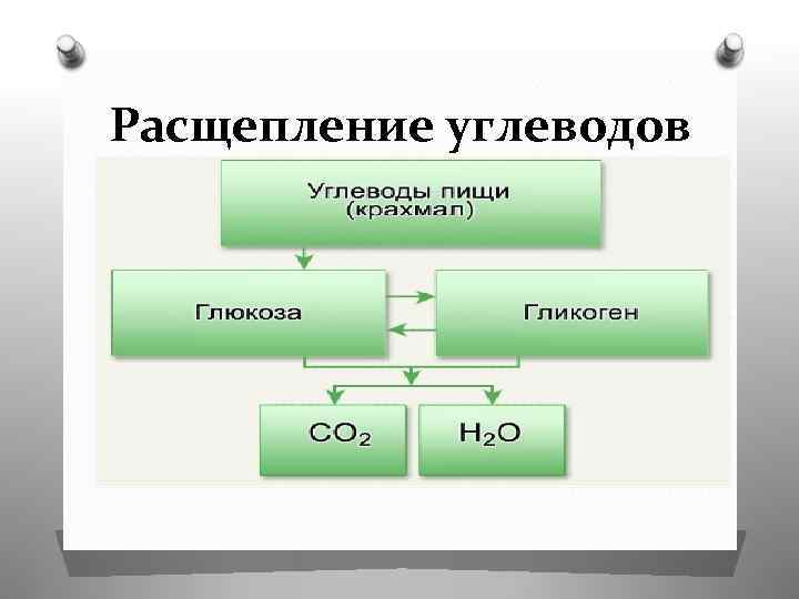 Расщепление углеводов 