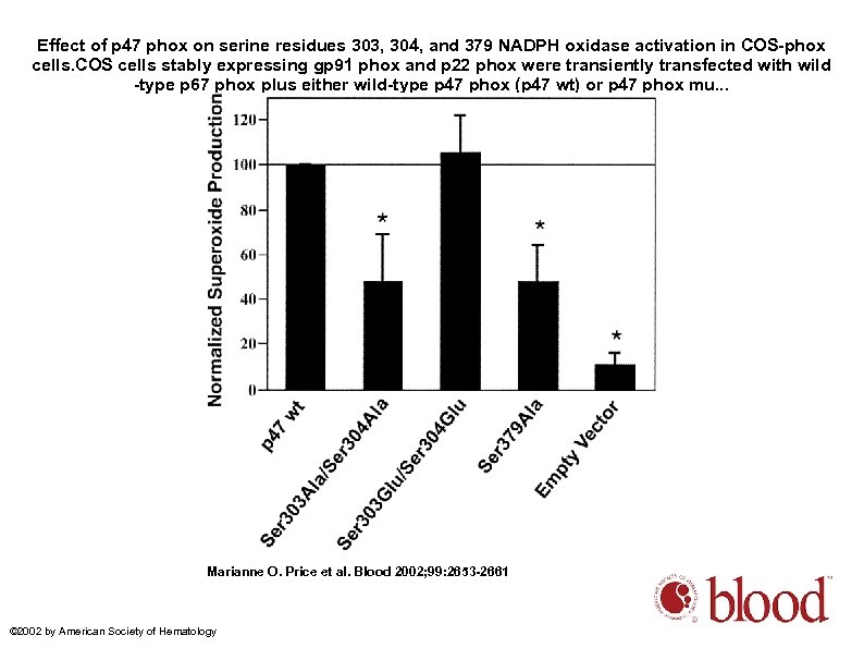 Effect of p 47 phox on serine residues 303, 304, and 379 NADPH oxidase