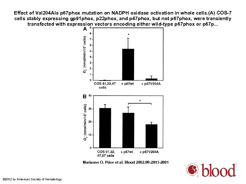 Effect of Val 204 Ala p 67 phox mutation on NADPH oxidase activation in